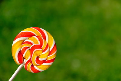 Colorful rainbow lollipop and nature background. high quality photo