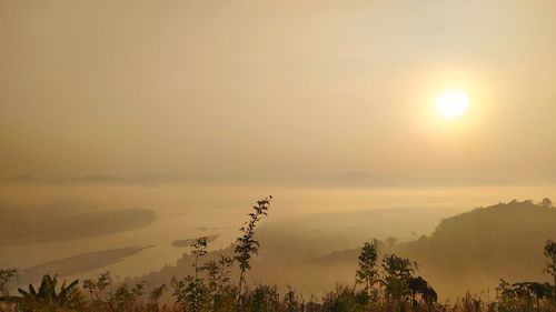 Scenic view of silhouette trees against sky during sunset