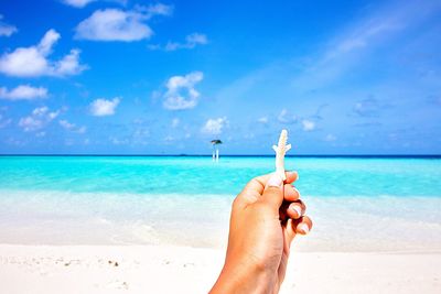 Cropped image of hand holding coral at beach against sky