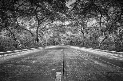 Empty road along trees