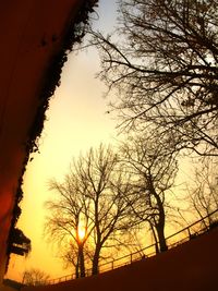 Silhouette of bare tree against sky at sunset