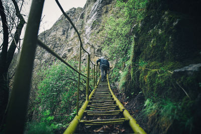 Rear view of man walking on steps