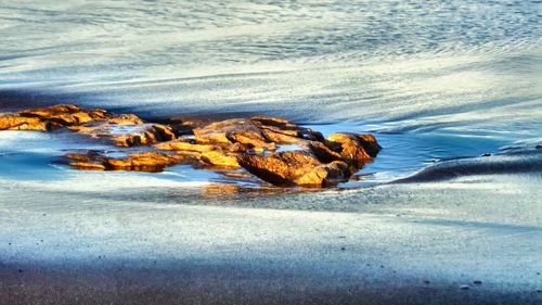 Driftwood on beach by sea against sky
