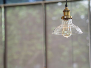 Illuminated light bulbs hanging from ceiling