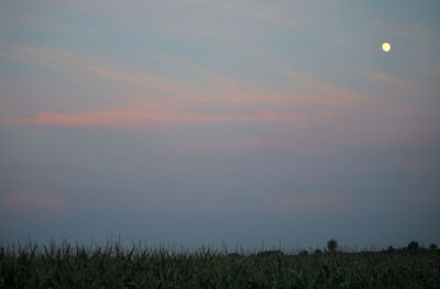 Scenic view of field against sky during sunset