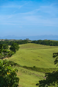 Scenic view of agricultural field against sky