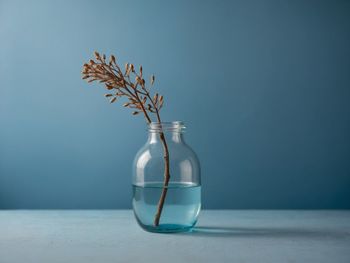 Close-up of vase against blue background