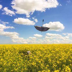 Scenic view of field against sky