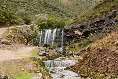 Scenic view of waterfall in forest