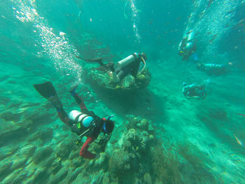 High angle view of people doing underwater diving in sea