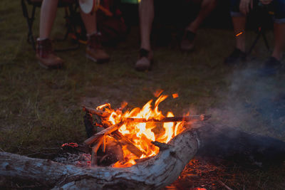 Logs burning on field in forest