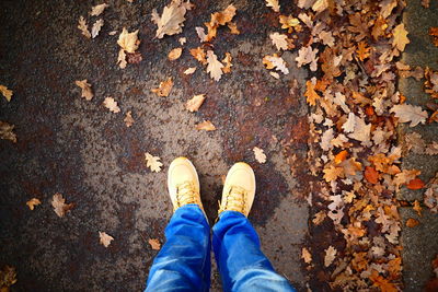 Low section of person standing on dry leaves