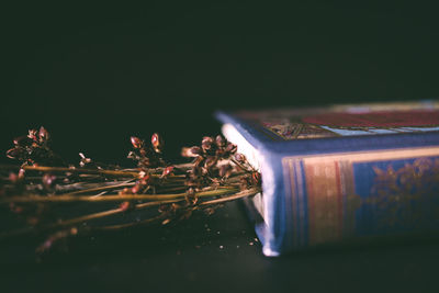 Close-up of open book on table against black background