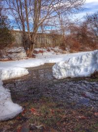 cold temperature