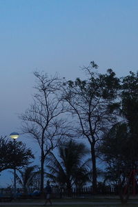 Silhouette of bare tree against clear sky