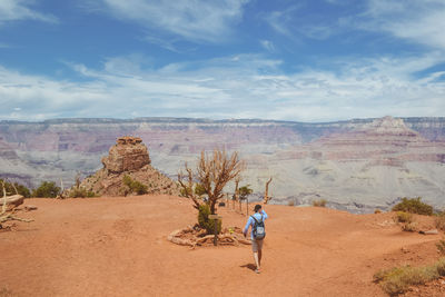 Rear view of man walking on desert