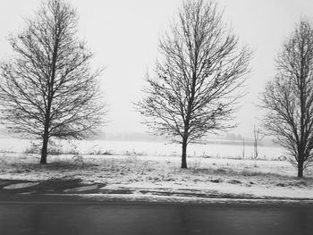 Bare trees on field against sky during winter