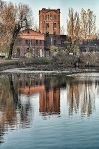 Reflection of trees in water