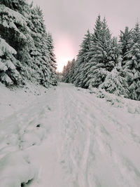 Snow covered field by trees against sky