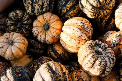 Full frame shot of pumpkins for sale at market