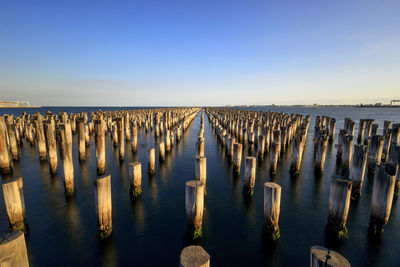 Row of wooden posts in water