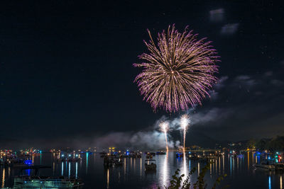 Firework display in sky at night
