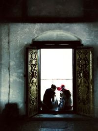 Cat looking at camera