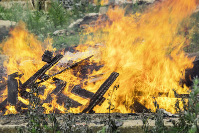 View of yellow fire on autumn