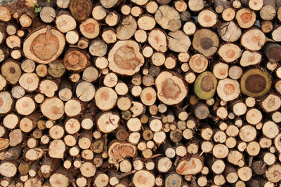 Full frame shot of logs