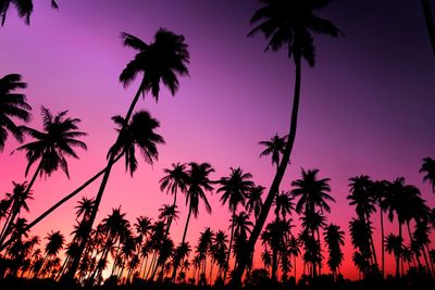 Low angle view of silhouette palm trees against sky during sunset