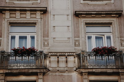 Low angle view of potted plants on balcony of building