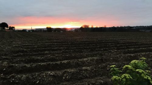 Scenic view of field against sky during sunset