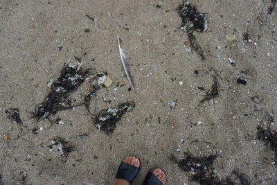 High angle view of human feet