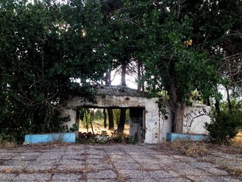 Old house with trees in background