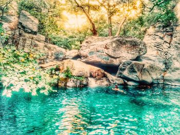 River passing through forest