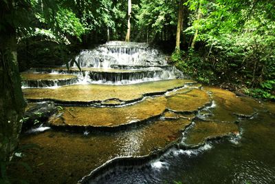 Scenic view of waterfall in forest