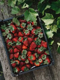 Strawberries in container on table