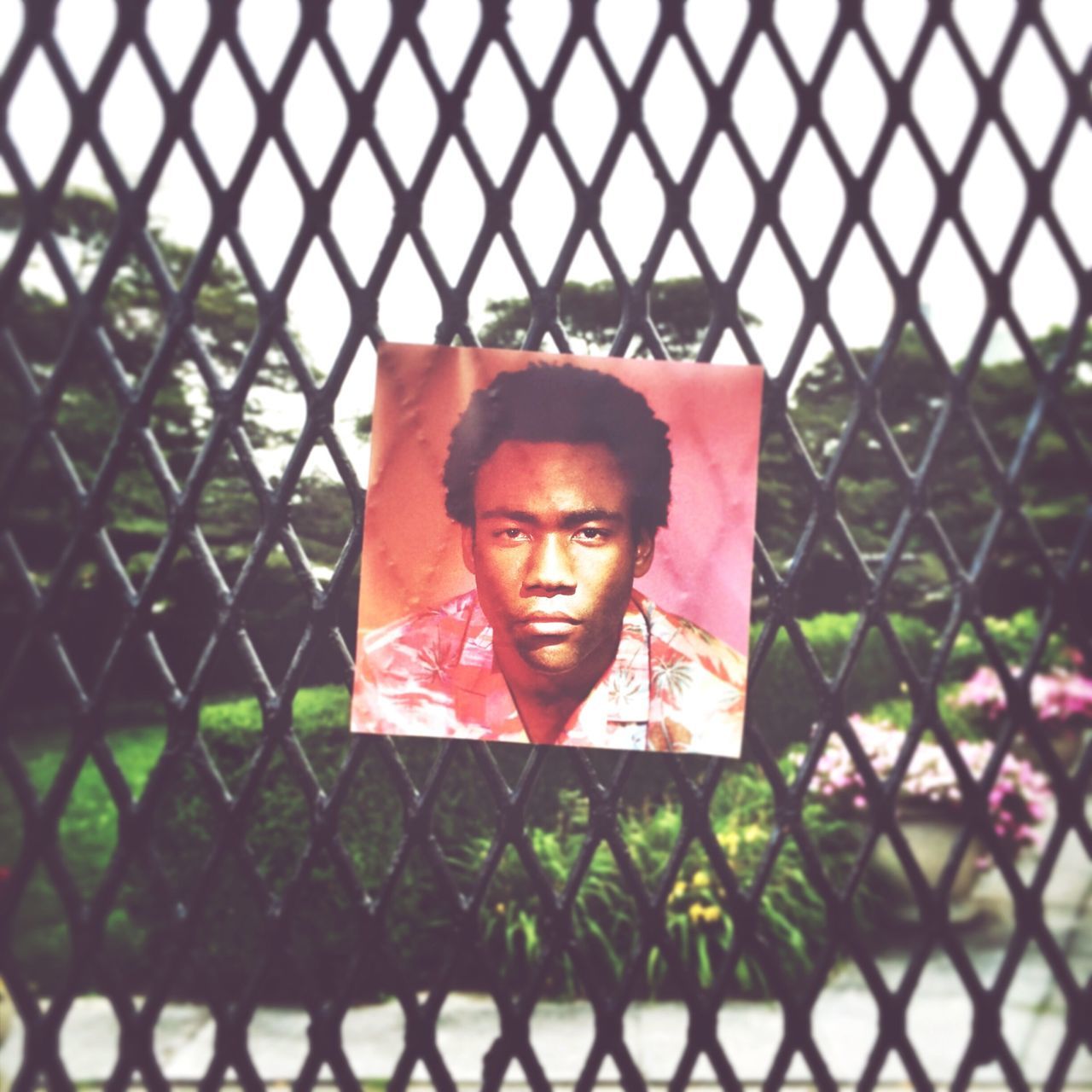 chainlink fence, fence, protection, safety, metal, security, focus on foreground, portrait, lifestyles, close-up, looking at camera, day, front view, outdoors, leisure activity, playground, park - man made space, childhood