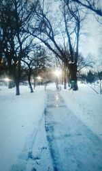 Bare trees on snow covered landscape