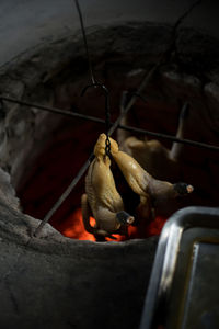Close-up of crab hanging from outdoors