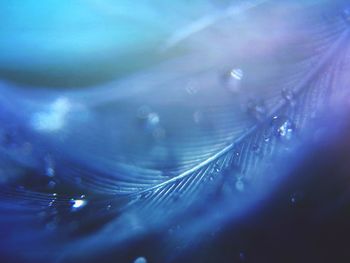 Full frame shot of water drops