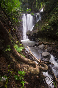 View of waterfall in forest