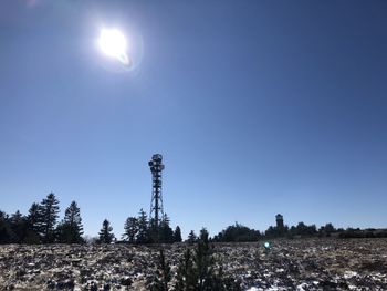 Low angle view of trees against clear blue sky