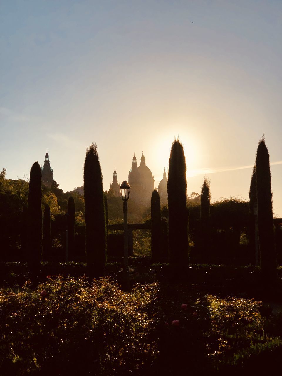 CASTLE BY TREES AGAINST SKY DURING SUNSET