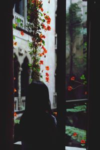 Rear view of silhouette woman standing by window