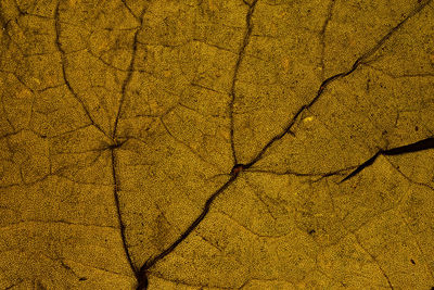 Full frame shot of cracked land