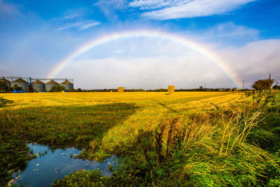 Scenic view of field against rainbow in sky