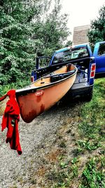 Boat moored on tree