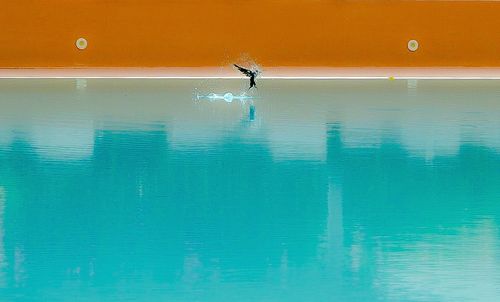 Reflection of man swimming in pool