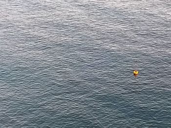 High angle view of yellow floating on water